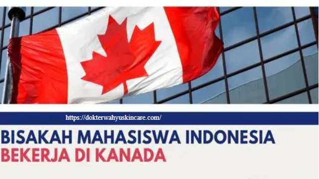 Bisakah Mahasiswa Indonesia Bekerja di Kanada?